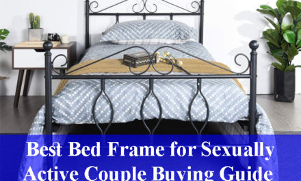 Best Bed Frames for Sexually Active Couple Buying Guide Reviews 2023
