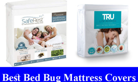 Best Bed Bug Proof Mattress Covers Reviews 2023