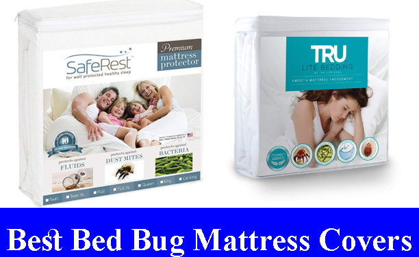 Best Bed Bug Proof Mattress Covers Reviews 2023