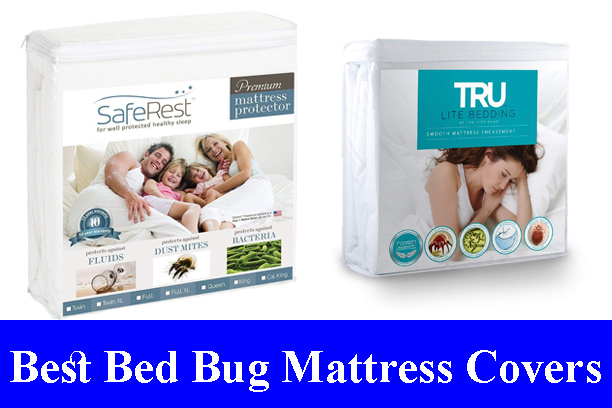 best bed bug covers for mattresses