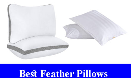 Best Feather Pillows Reviews 2023