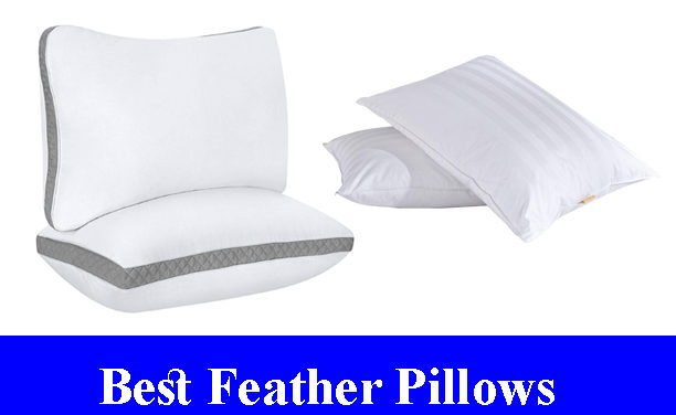 Best Feather Pillows Reviews 2023