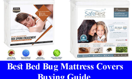Best Bed Bug Mattress Covers Buying Guide Reviews 2023