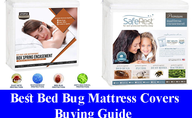Best Bed Bug Mattress Covers Buying Guide Reviews 2021