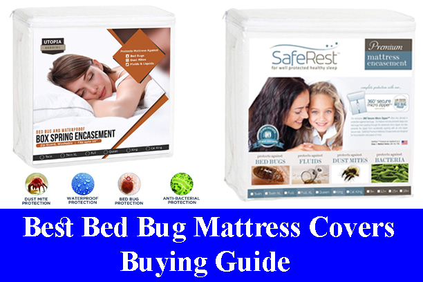 Best Bed Bug Mattress Covers Buying Guide Reviews 2023