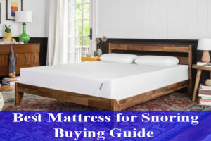 Best Mattress for Snoring Buying Guide