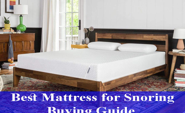 Best Mattress for Snoring Buying Guide Reviews 2021