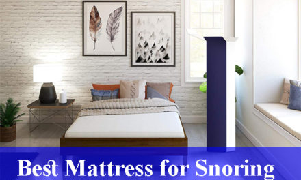 Best Mattress for Snoring Reviews 2023