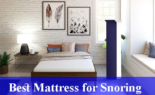Best Mattress for Snoring Reviews 2023