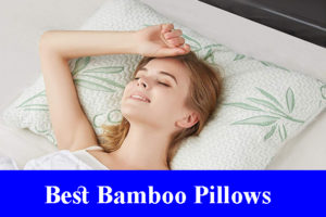 Best Bamboo Pillows