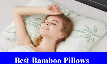 Best Bamboo Pillows Reviews 2023