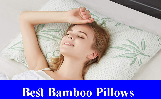 Best Bamboo Pillows Reviews 2023