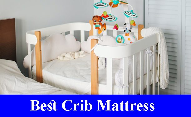 Best Crib And Toddler Mattress Reviews 2023