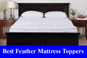 Best Feather Mattress Toppers