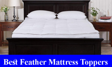 Best Feather Mattress Toppers Reviews 2023