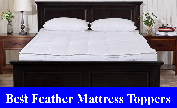Best Feather Mattress Toppers Reviews 2023