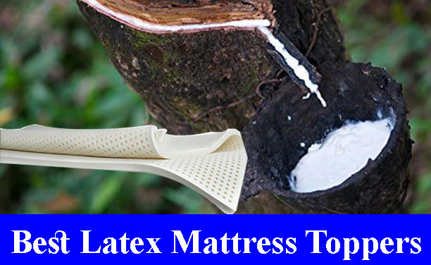 Best Latex Mattress Toppers Reviews 2023