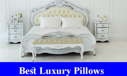 Best Luxury Pillows Reviews 2023