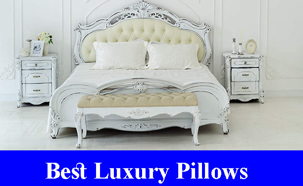 Best Luxury Pillows Reviews 2023