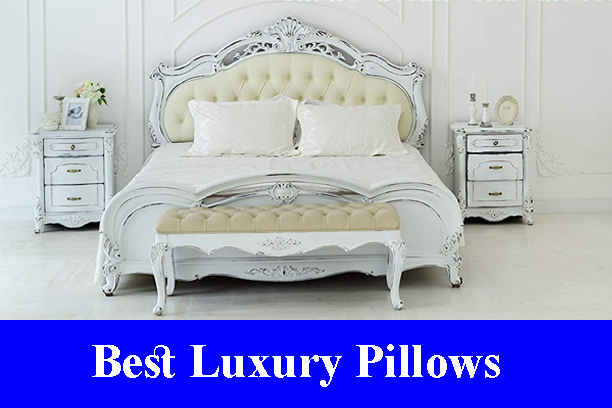 Best Luxury Pillows Reviews 2023