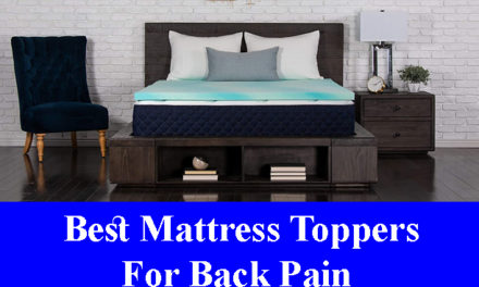 Best Mattress Toppers For Back Pain Reviews 2021