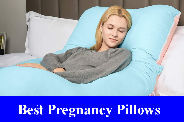 Best Pregnancy Pillows Reviews 2022